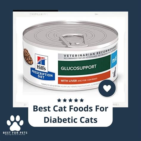 best wet food for diabetic cat|cheapest diabetic cat food.